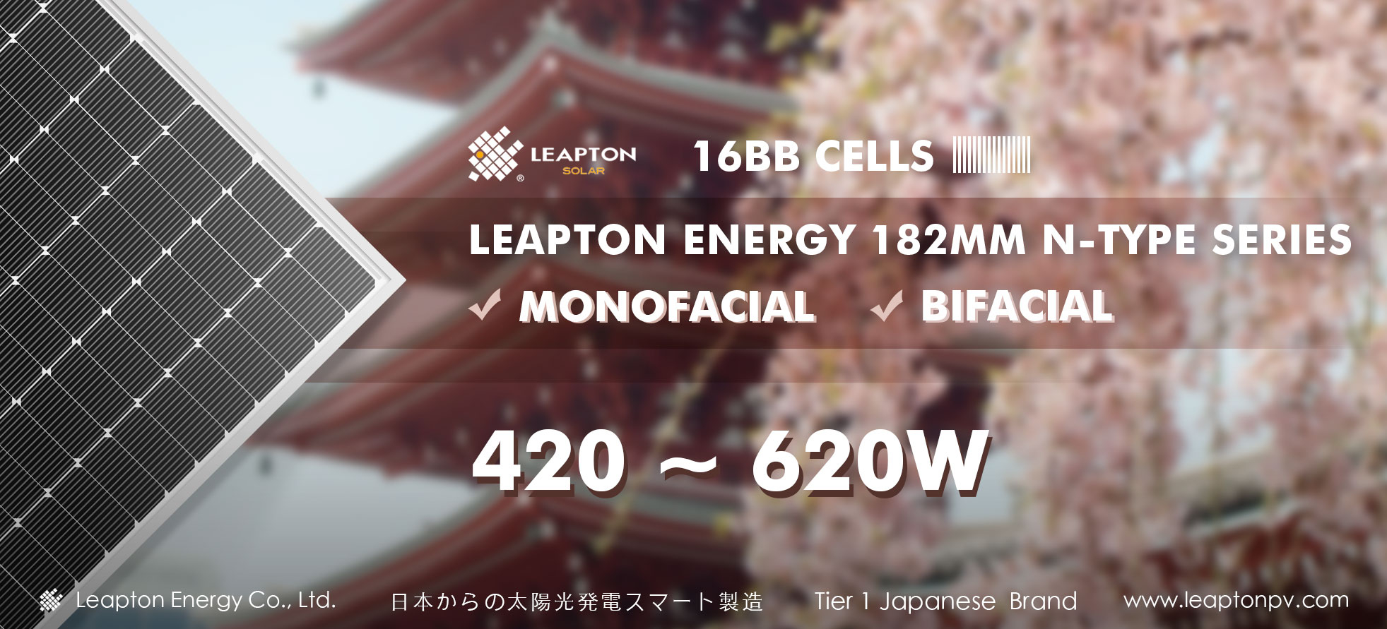 Leapton Energy new products: 182mm N-Type series