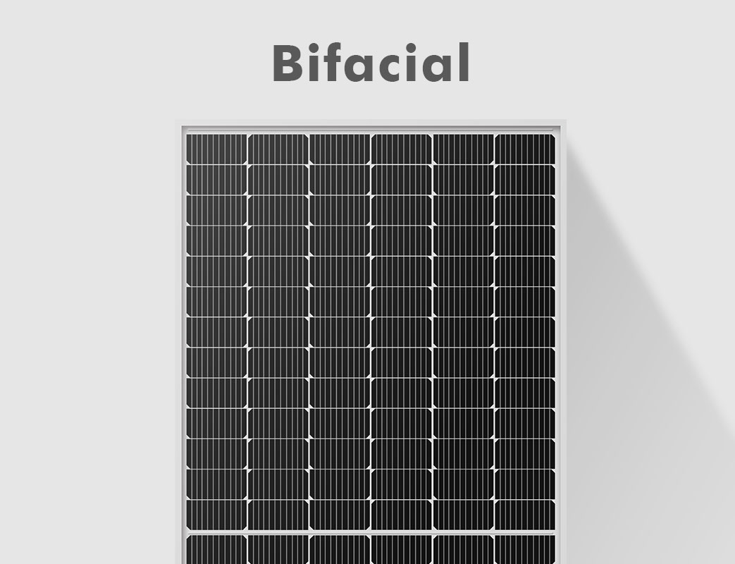 600W-bifacial.jpg