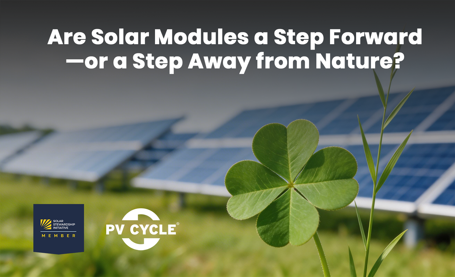 Are Solar Modules a Step Forward—or a Step Away from Nature?